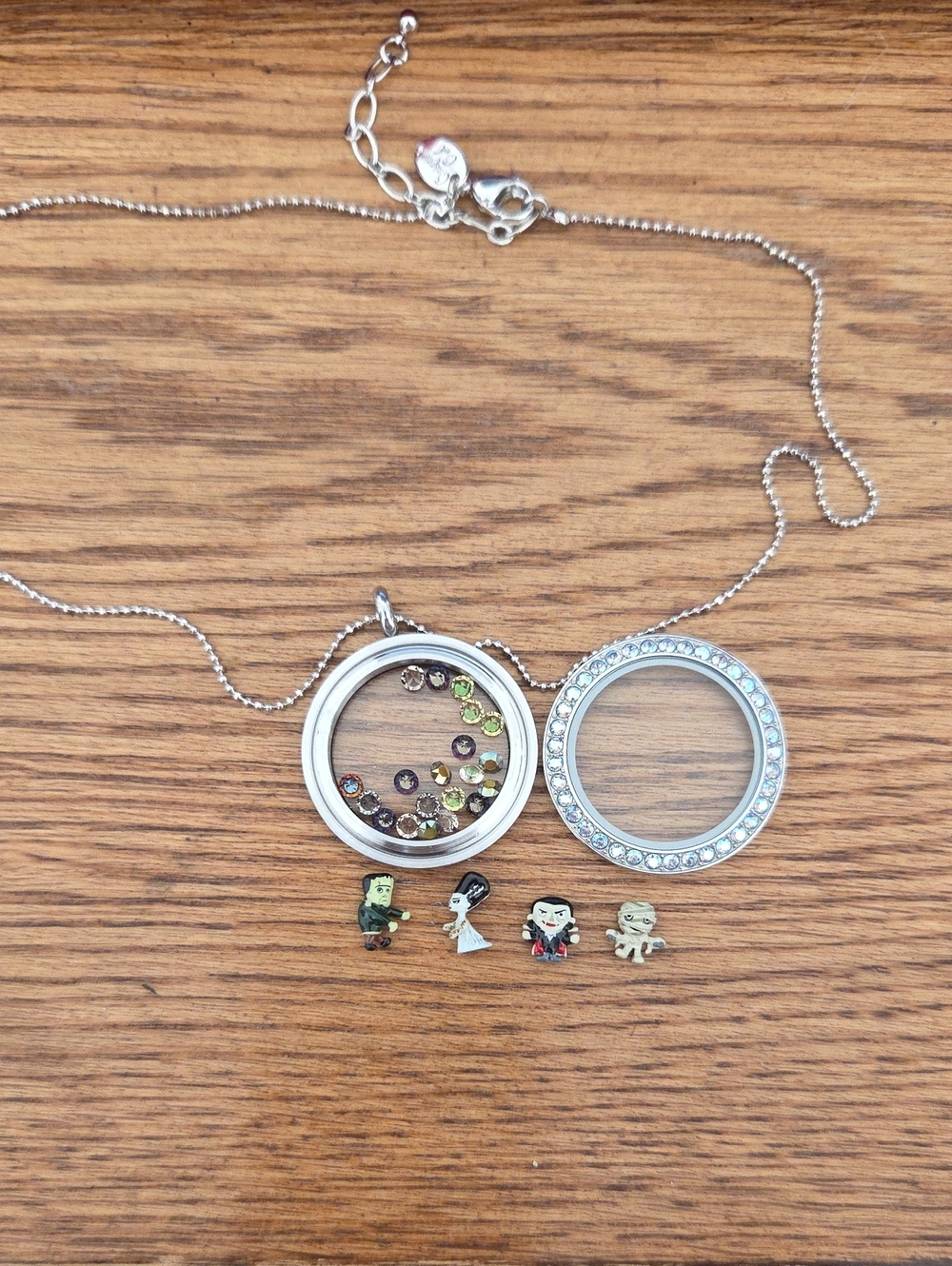 Origami Owl Large Living Locket Set - MONSTER MASH
